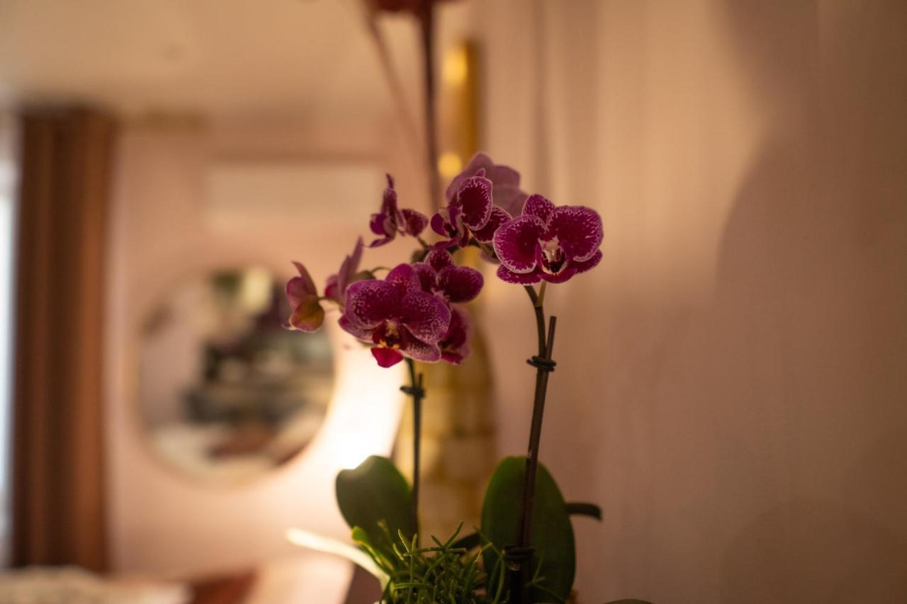 Studio Coeur De Ville Sanary Tres Cosy Parking Екстериор снимка