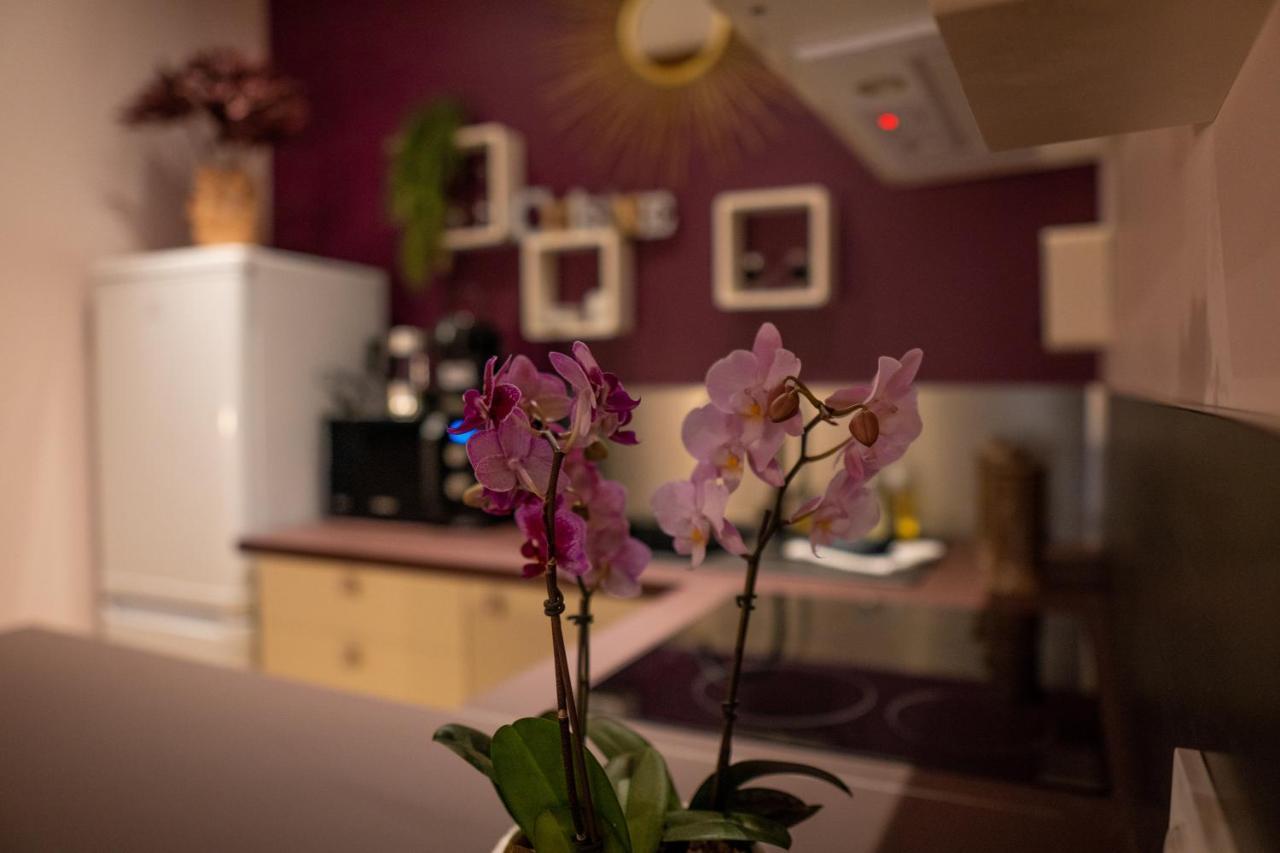 Studio Coeur De Ville Sanary Tres Cosy Parking Екстериор снимка
